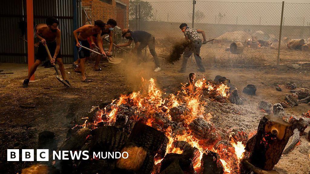 Incendios en España y Francia: ya hay más de 220.000 evacuados