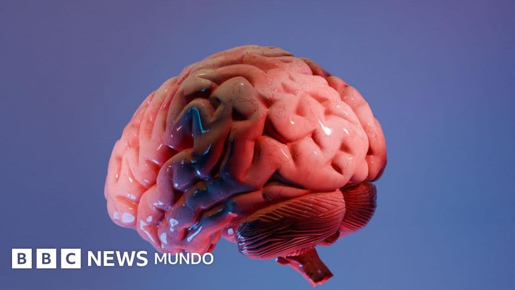 Avance científico: diseñan un mapa cerebral clave para combatir el Parkinson y el Alzheimer