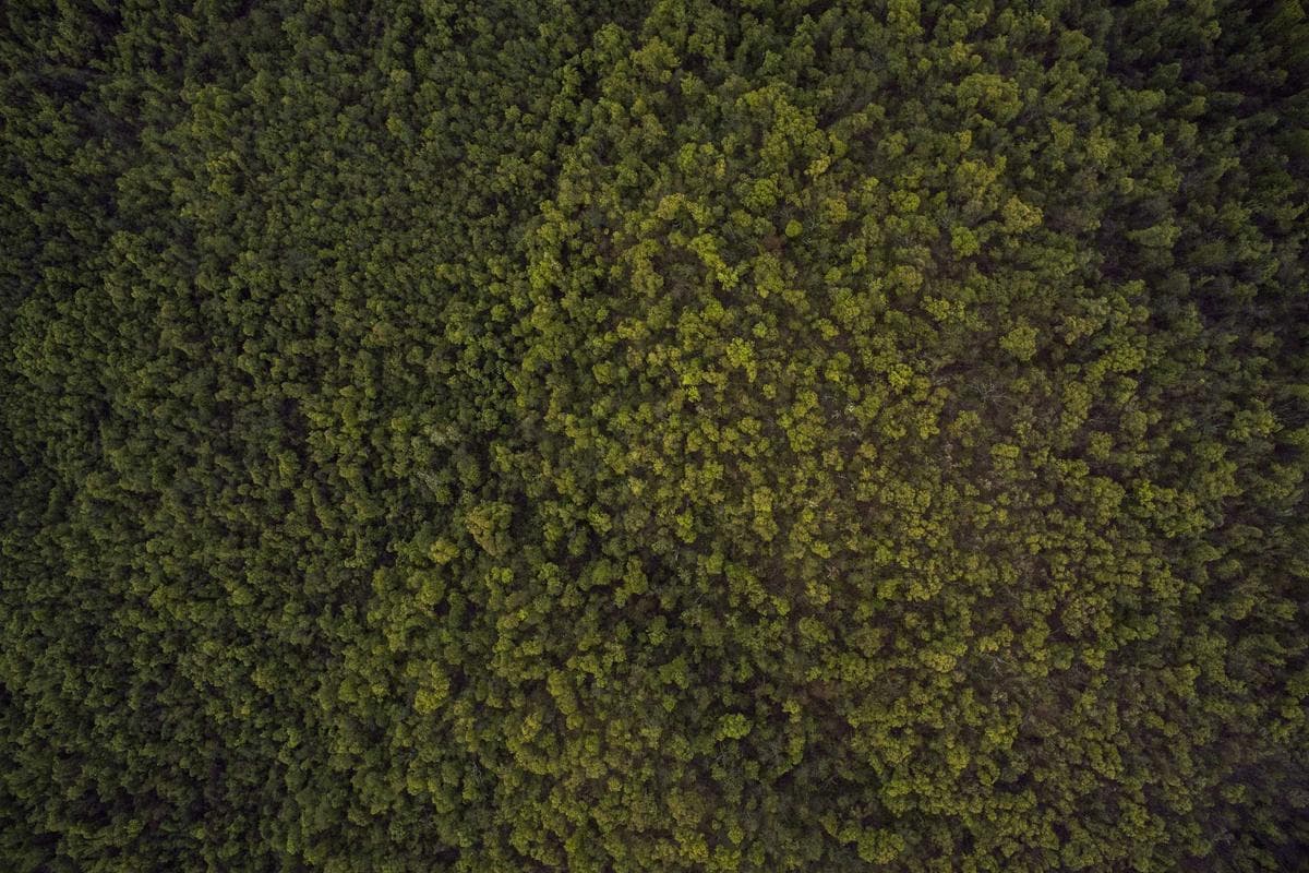 Exclusivo: la historia detrás del video que recorrió el país en 24 horas