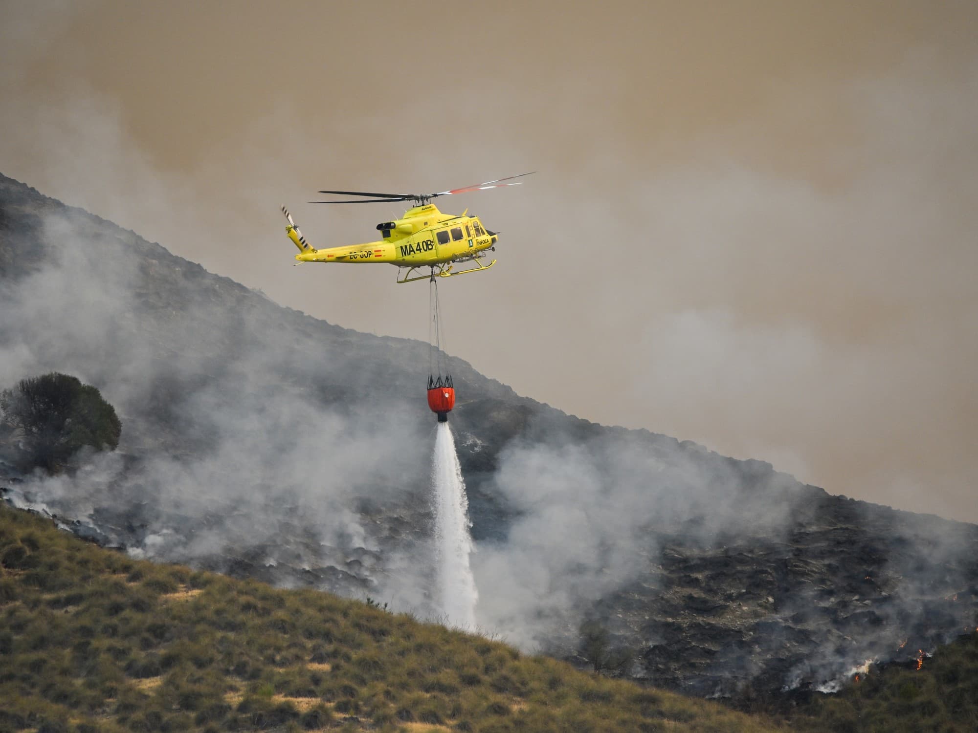 Tragedia en Andalucía: el peor incendio forestal deja turistas atrapados y evacuaciones masivas