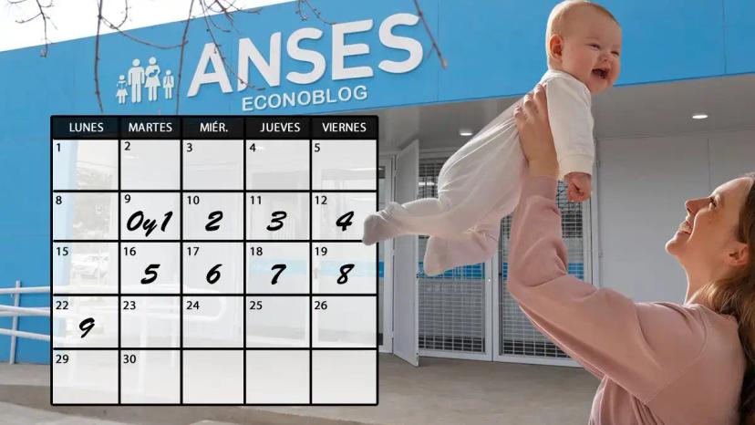 anses que es cuidado de salud