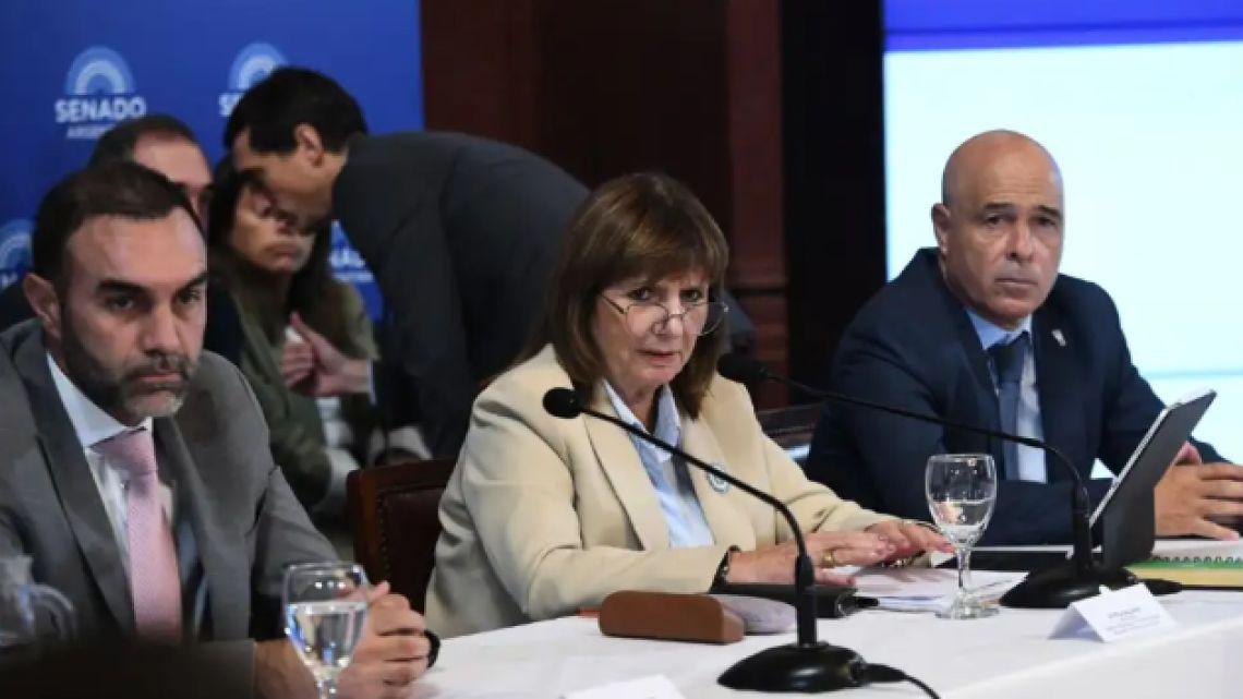 Ley de Tierras en el Congreso: La marcha atrás de Milei que enciende alarmas para las próximas reformas