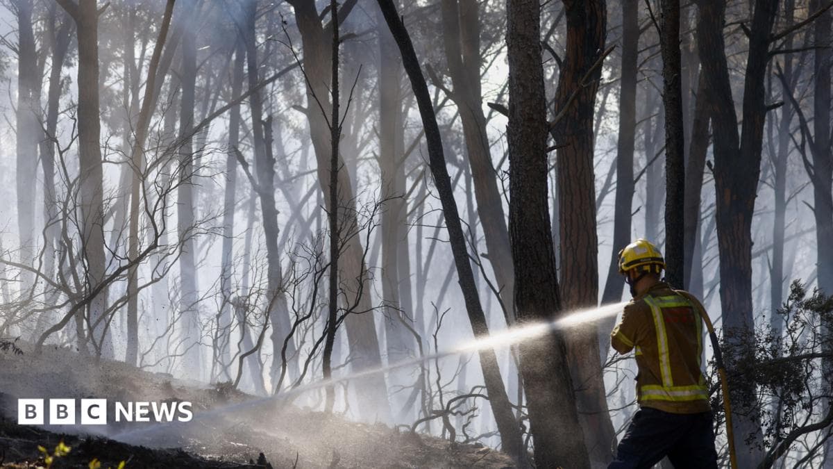 Tragedia en España: doce muertos por incendios forestales en medio de una ola de calor