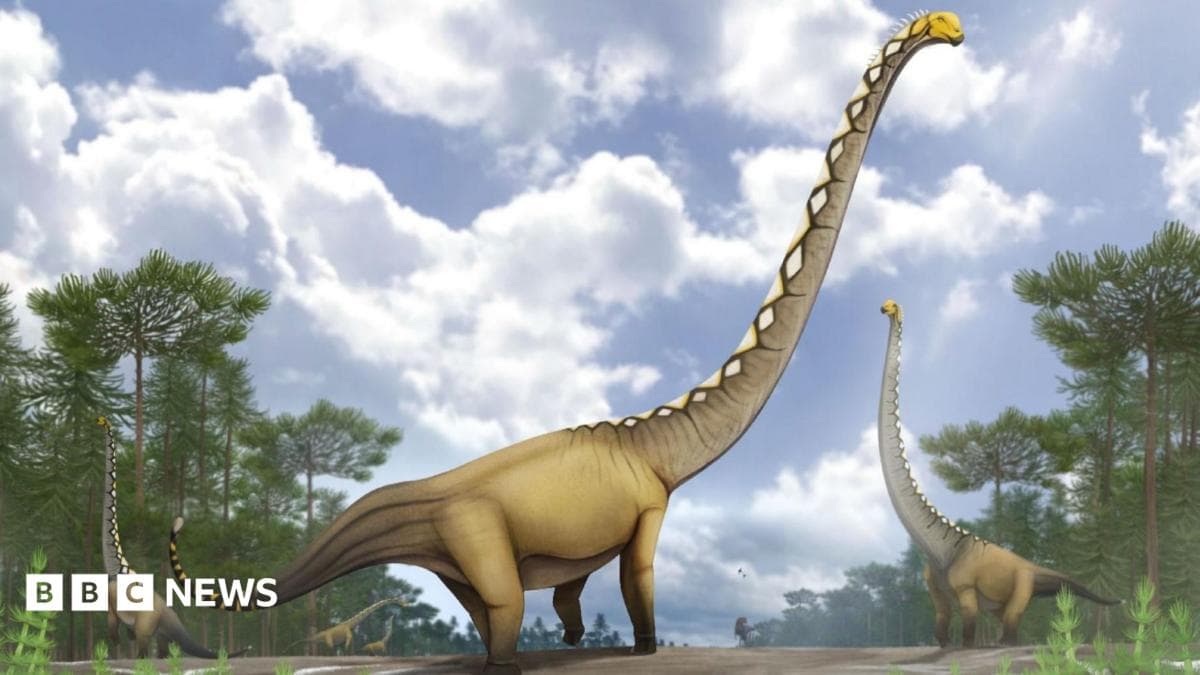 Hallazgo paleontológico: descubren en Tailandia un dinosaurio con un cuello de dimensiones inéditas