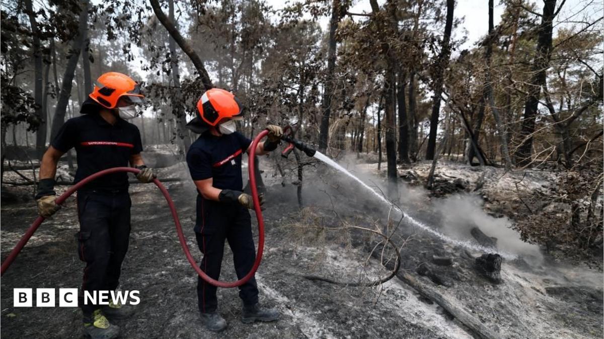 Francia: detienen a un bombero voluntario sospechoso de provocar un devastador incendio forestal