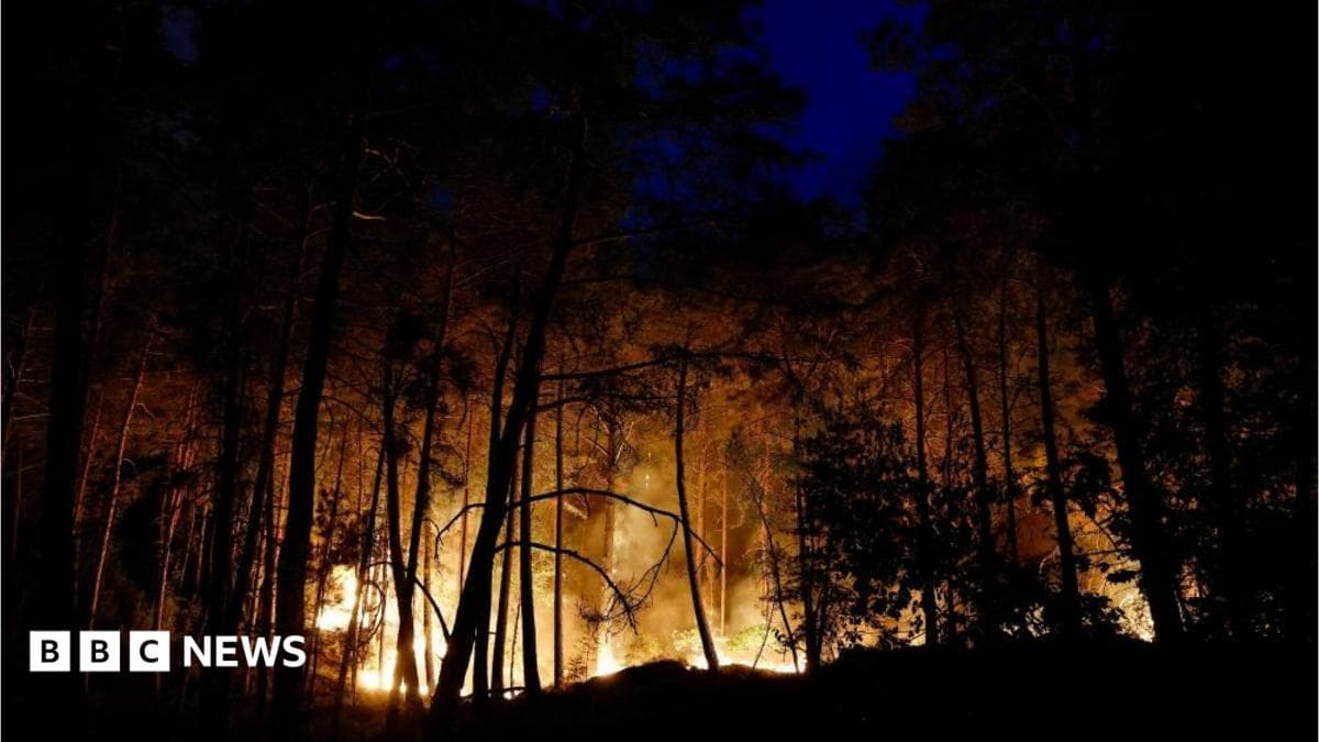 Alerta en Francia: envían aviones hidrantes por incendios forestales de escala excepcional cerca de París