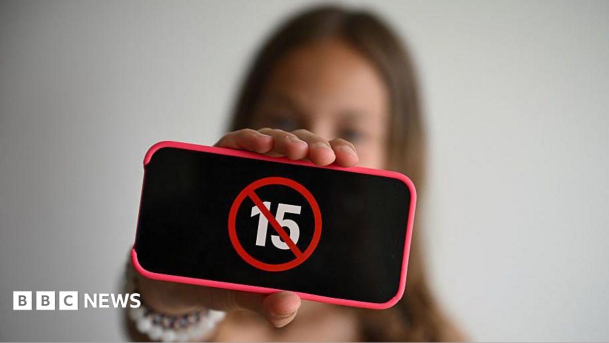 Francia prohíbe las redes a menores de 15: cómo será el control