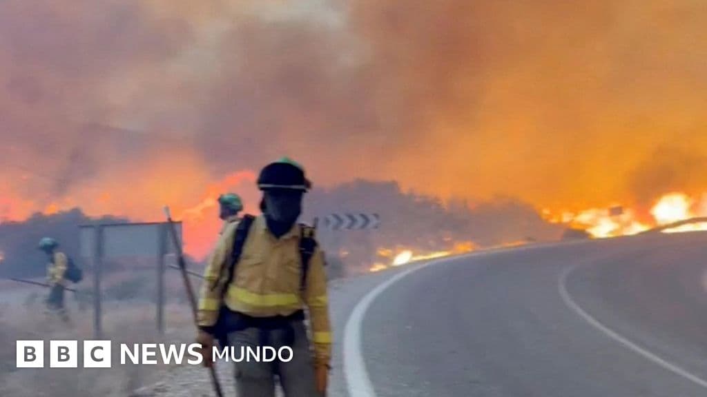 Tragedia en España: un feroz incendio en Almería deja al menos 11 muertos y 19 desaparecidos