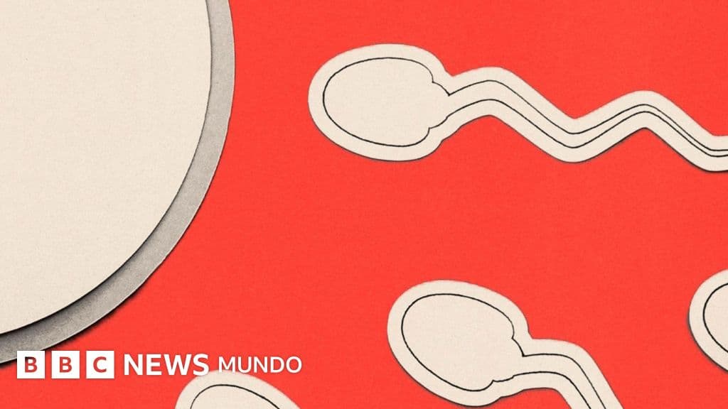 Tabú y diagnóstico tardío: el postergado debate sobre la infertilidad masculina