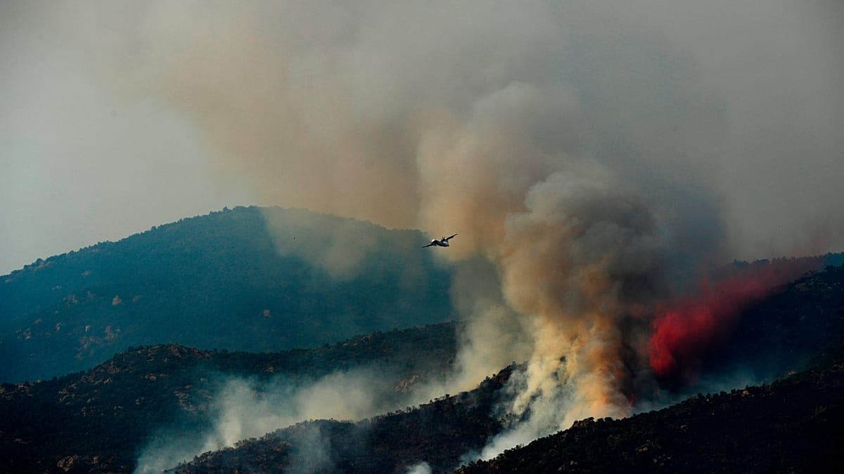 Incendios en Cataluña: bomberos combaten las llamas en Barcelona y confinan a miles de vecinos