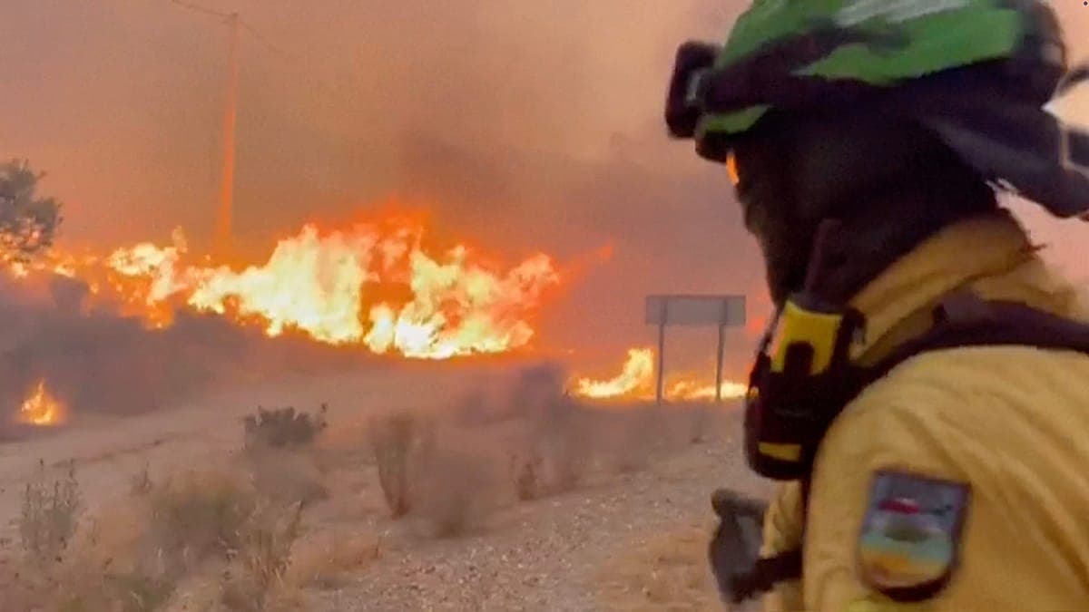 Tragedia en Almería: once personas murieron tras desviarse de la ruta de evacuación en un incendio