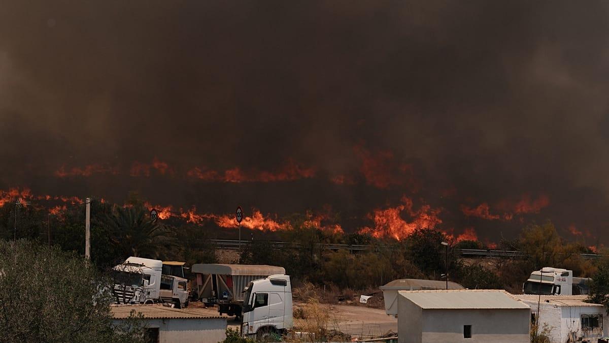 Zaragoza bajo fuego: ¿cuántas hectáreas arrasaron los incendios?