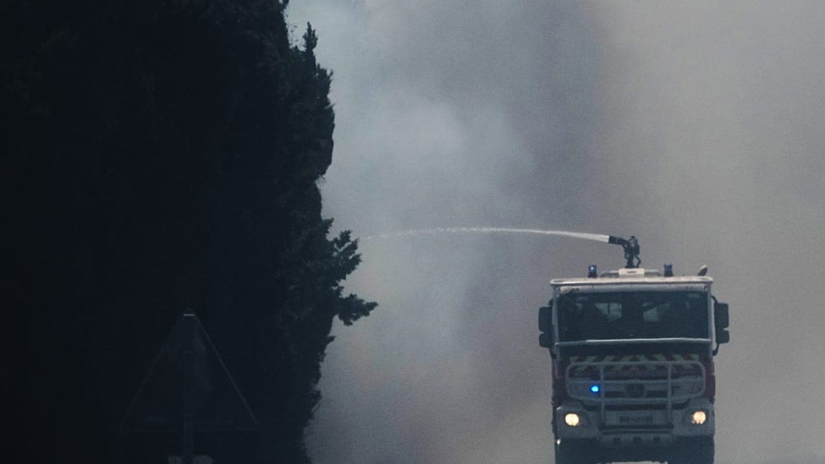 Alerta en Francia: un grave incendio forestal azota el histórico bosque de Fontainebleau