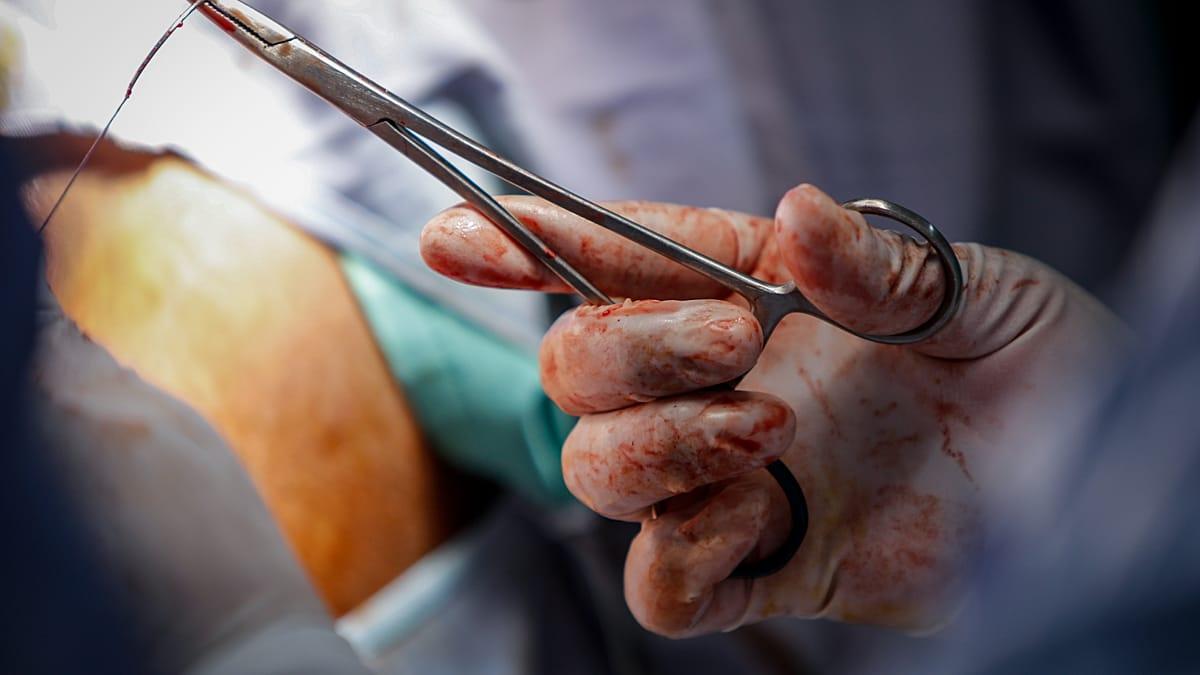 Portugal: el dato detrás de los 292 casos de mutilación genital