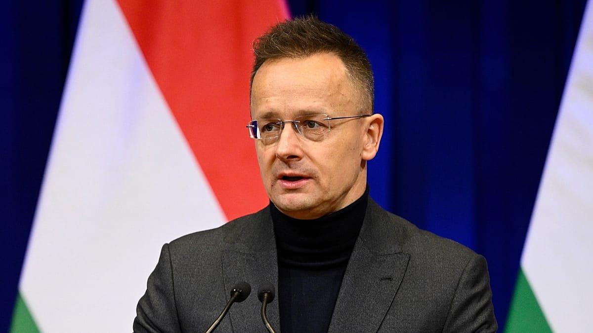 De la diplomacia a los autos eléctricos: el excanciller húngaro Péter Szijjártó se suma a la china BYD