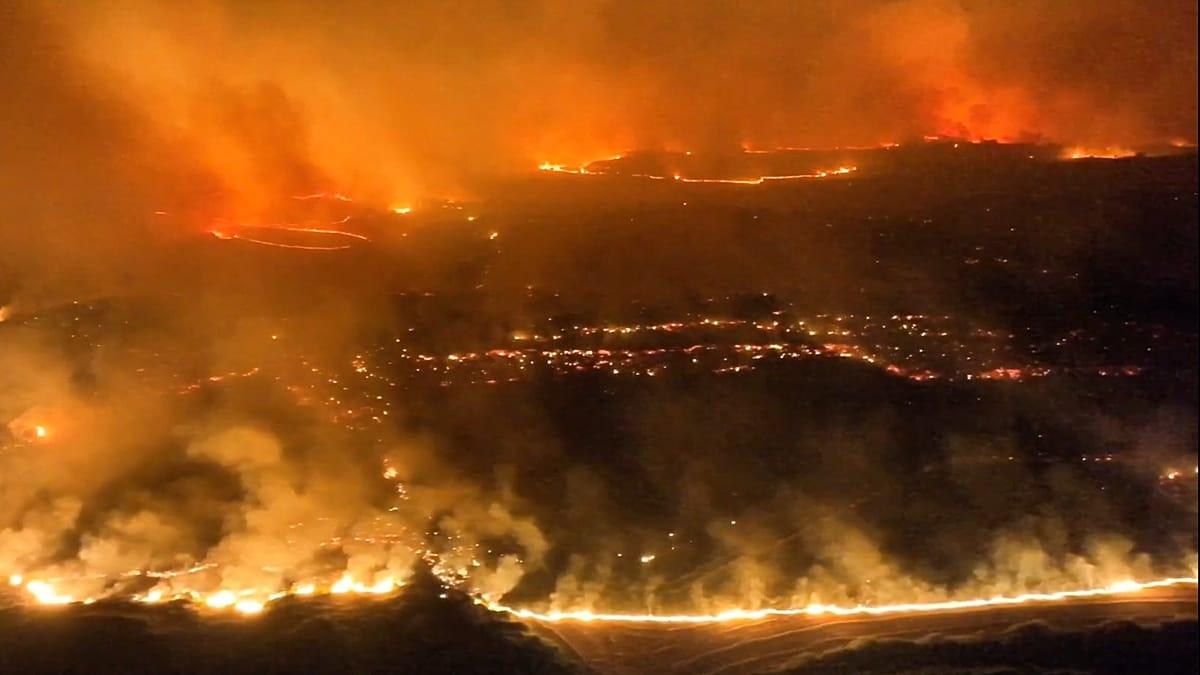 España sufre por los incendios: ¿cuántas hectáreas ya se quemaron?