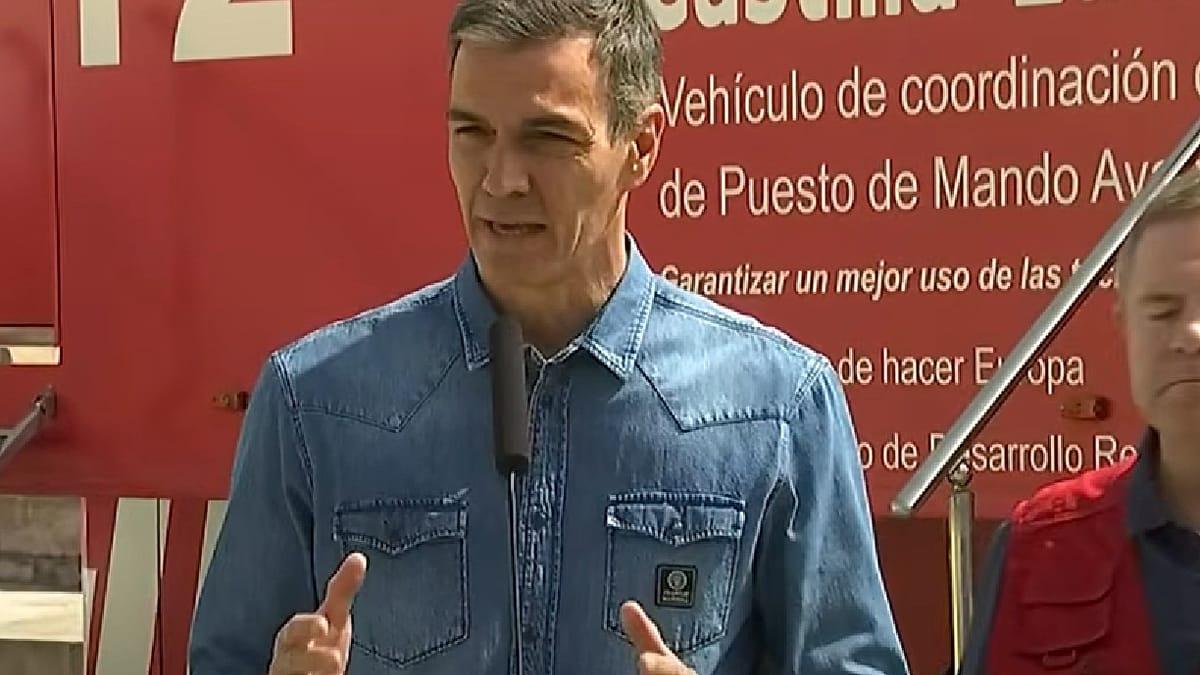 Pedro Sánchez: pacto de Estado tras quemarse 120.000 hectáreas