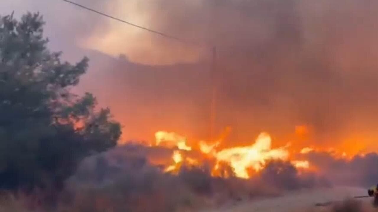Tragedia en España: un feroz incendio forestal en Almería dejó al menos 12 muertos