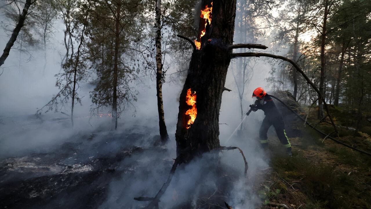 Incendios forestales azotan las afueras de París: evacúan a mil personas y sospechan que fueron intencionales