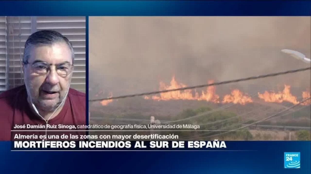 Alarma en Europa: los incendios forestales azotan a España y Francia en medio de una sequía extrema