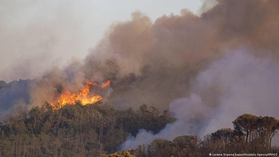 Tragedia en España: un feroz incendio forestal en el sur del país dejó al menos 12 muertos