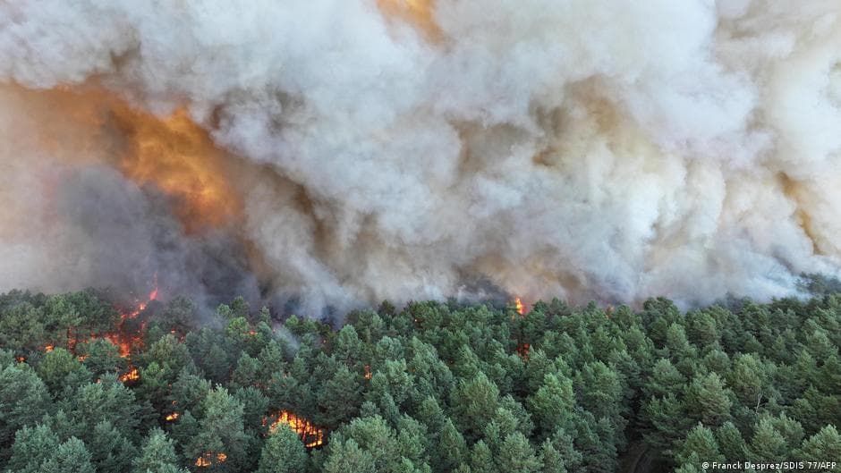 Alarma en Francia: un feroz incendio forestal devasta el emblemático bosque de Fontainebleau