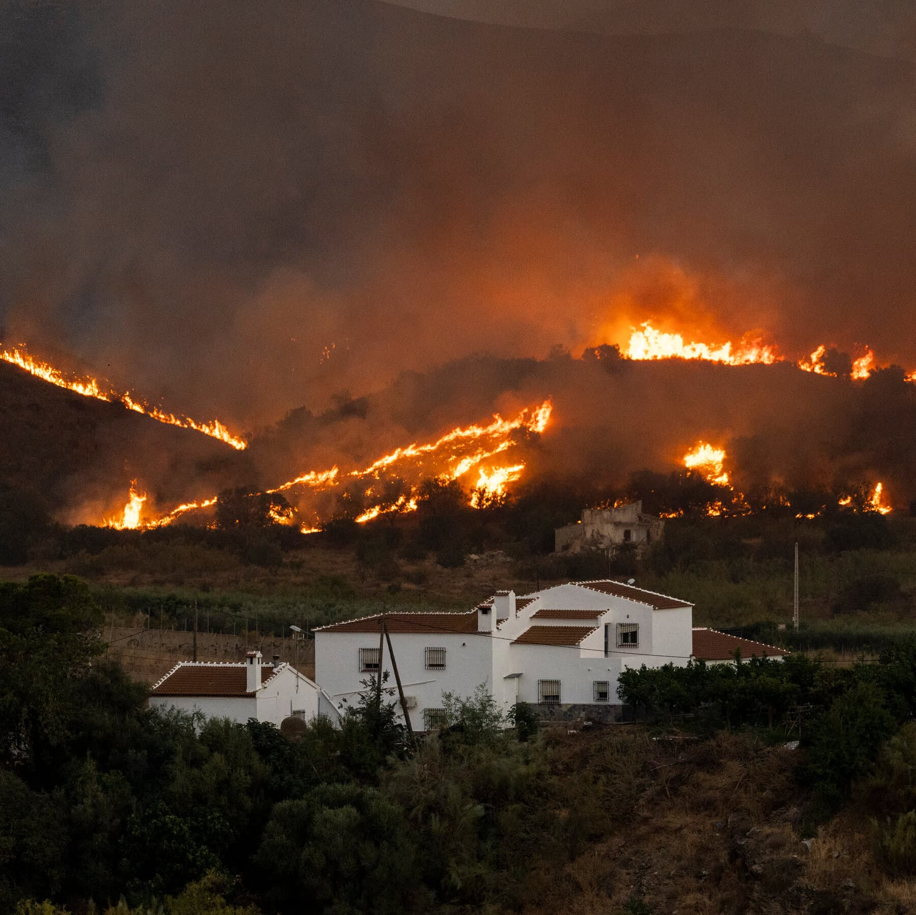 Tragedia en España: un feroz incendio forestal en el sur deja al menos 12 muertos y decenas de desaparecidos