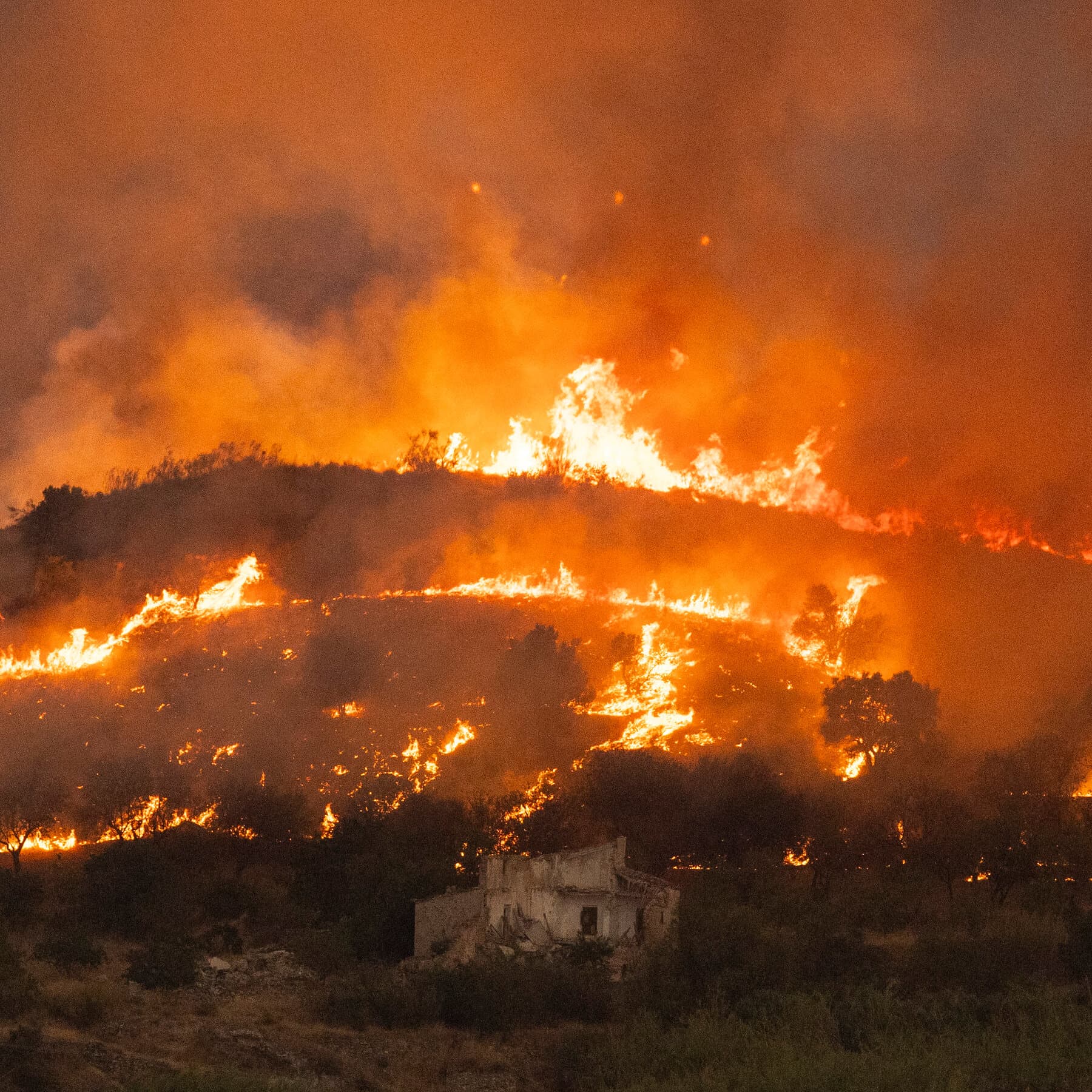 Tragedia en España: sobrevivientes de los incendios forestales denuncian caos y falta de alertas