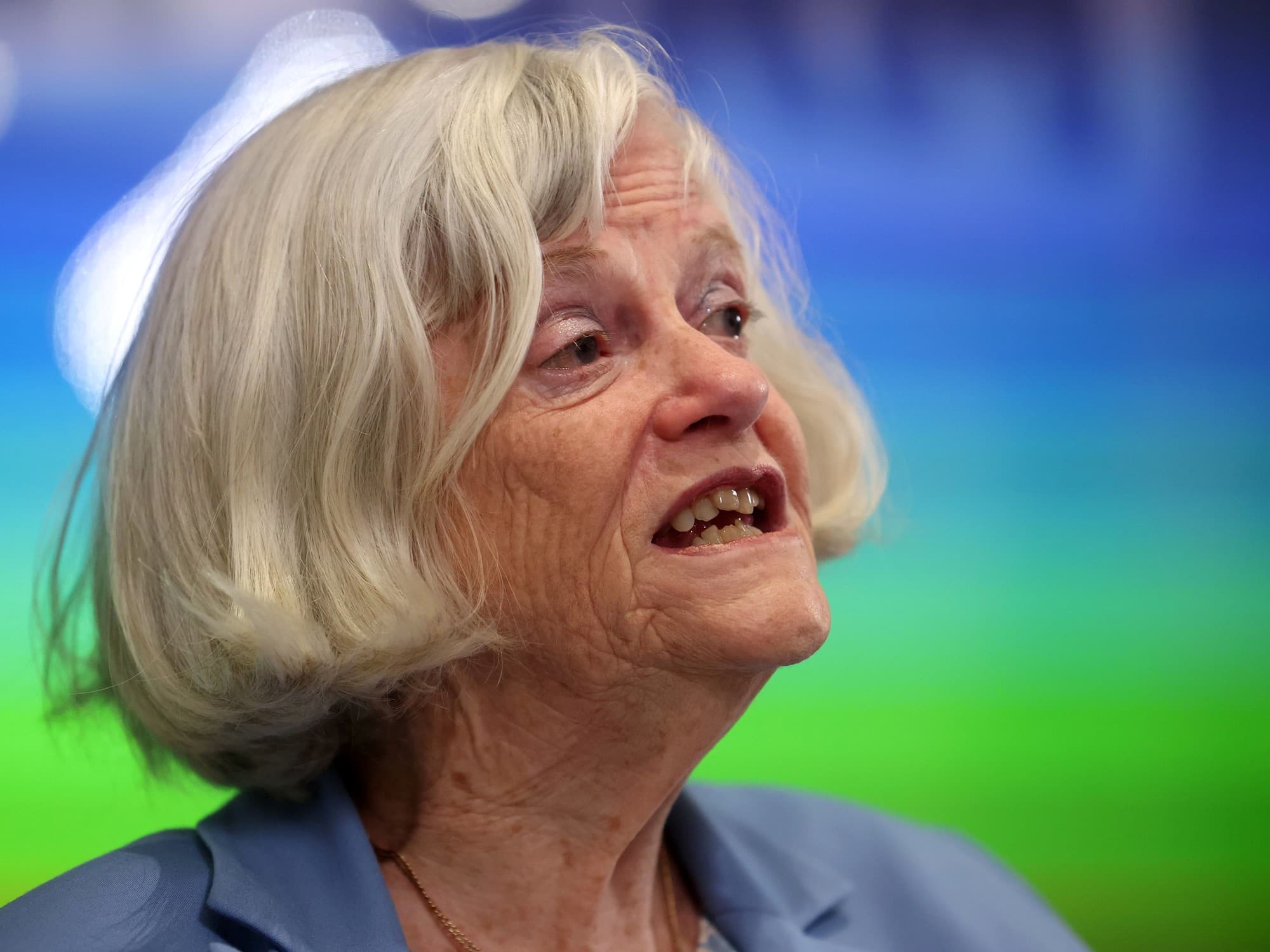 Conmoción en Gran Bretaña por el asesinato de la exministra y diputada Ann Widdecombe